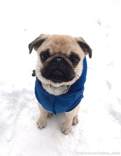 adelia adele hd kunst galerie