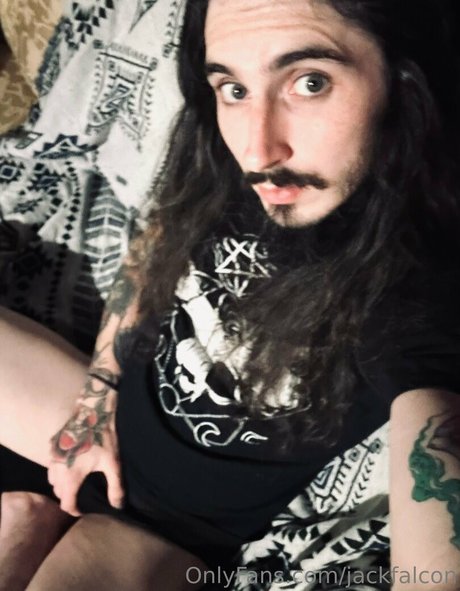 jackfalcon perfekte hd archiv