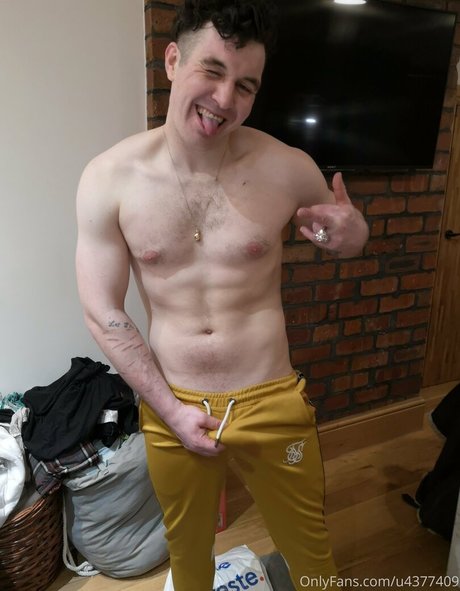 wolfuncensored perfekte freie foto