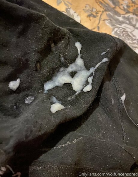 wolfuncensored beste erotische fotos