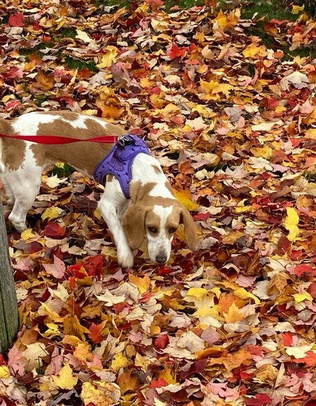 northerngaymertwinks beste heiße fotos