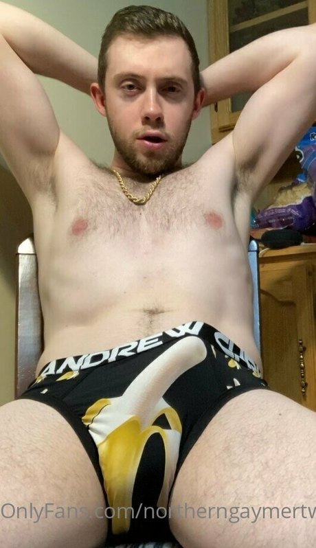 northerngaymertwinks kunst beste galerien