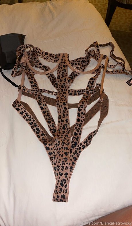 biancapetrovickyoficial schöne sexy fotos