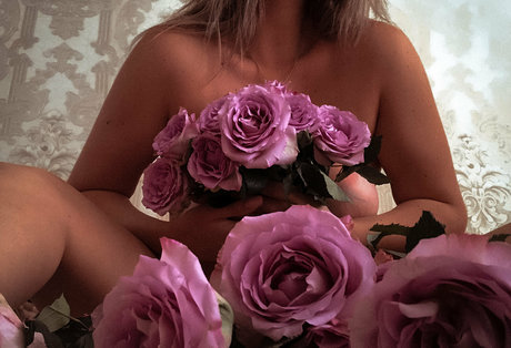 devil flowers Profilbild