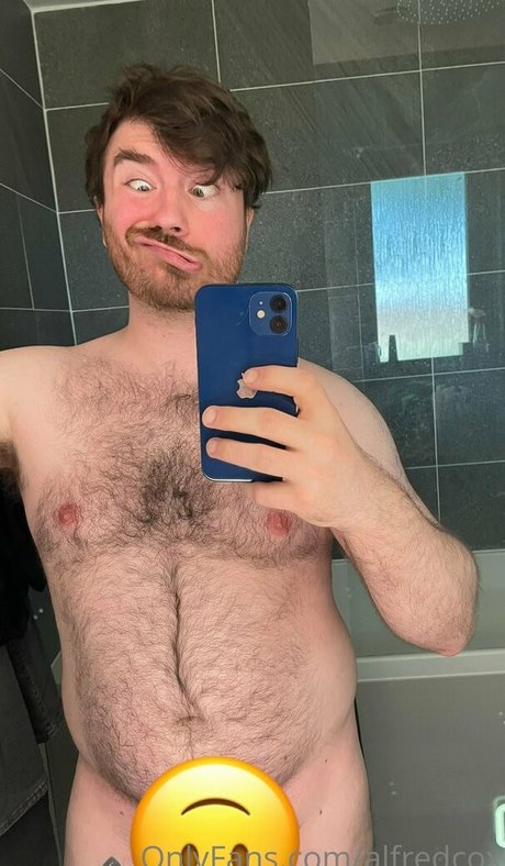 alfredcox Profilbild