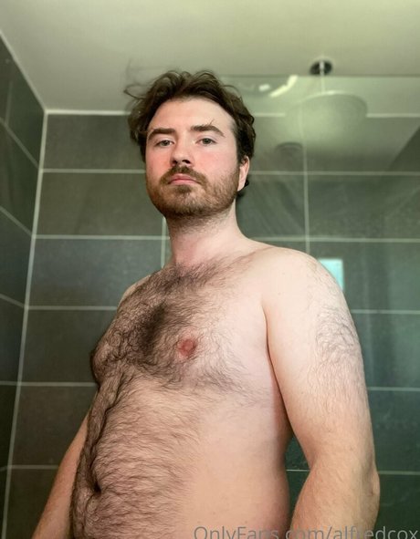 alfredcox top pornografische archiv