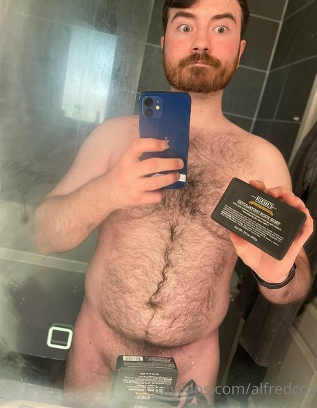 alfredcox exklusive freie galerien