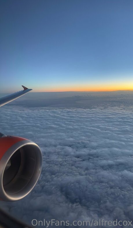 alfredcox erwachsene erotische archiv