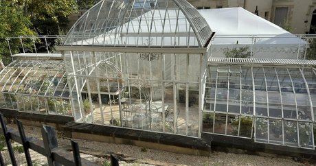 alfredcox schöne nackt bild