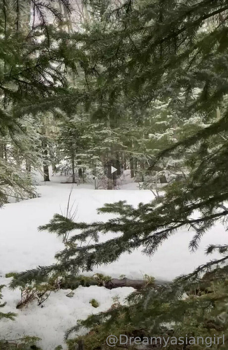 dreamyasiangirlvids kostenlose schöne galerie