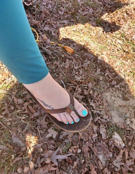 southernwooty kunst bild