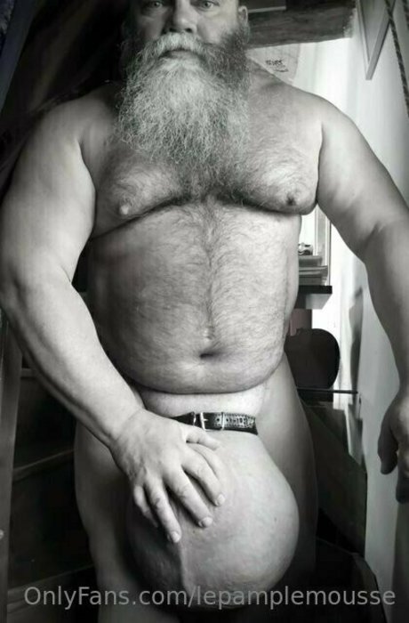 lepamplemousse hd kostenlose bild