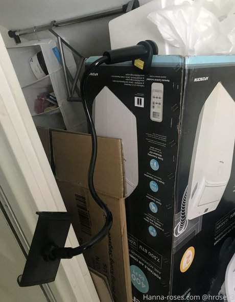 myrose0413 schöne hübsche archiv