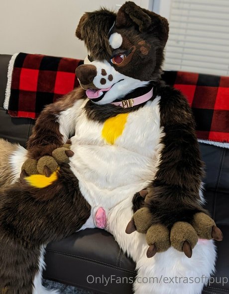 extrasoftpup freie pornografische foto