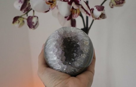 sabsaturnalia pornostar freie foto