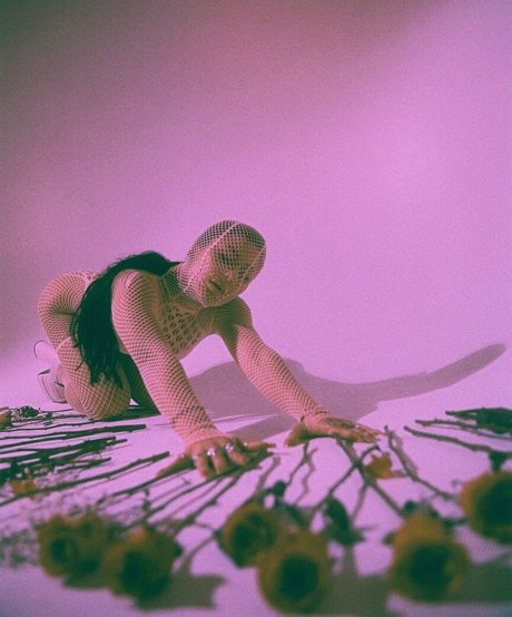 Snaxychann kunst xxx galerien