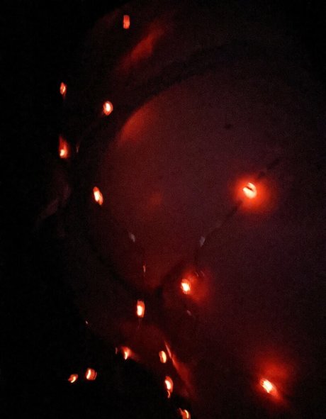 mijizzle model top bild