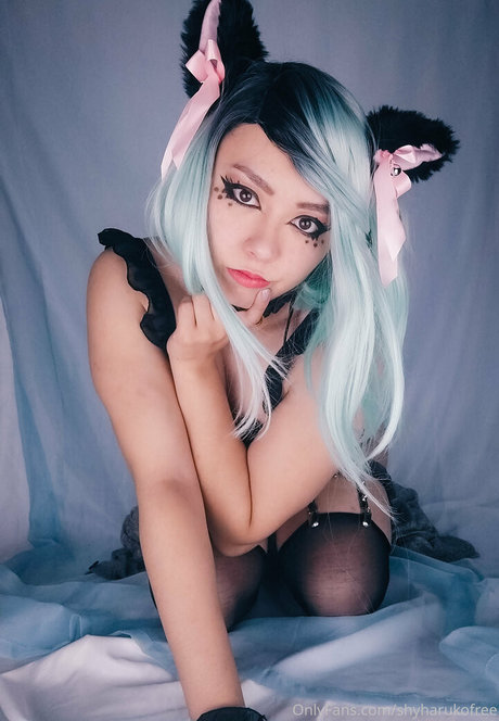 shyharukofree perfekte hübsche galerien