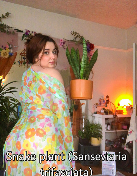 weihnachtsunterwäsche onlyfans nacktheit kunst archiv