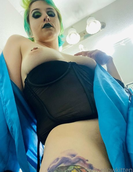 mellowkitten top foto